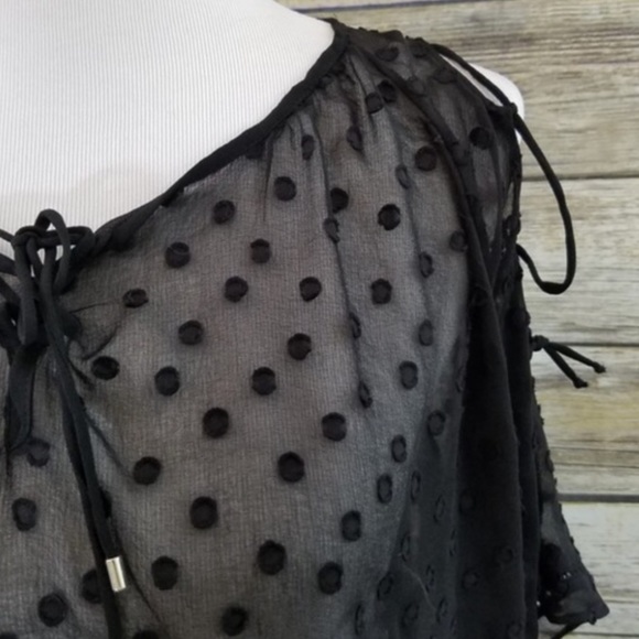 NWOT ZARA Plumetis Sheer Swiss Dot Blouse M - Picture 5 of 7